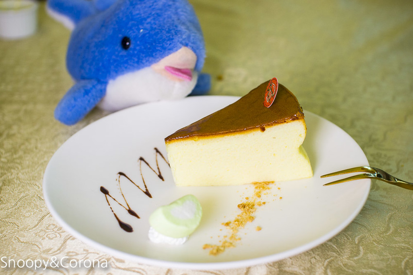 【新北市美食】林口水族主題餐廳｜ST 銀河系俱樂部｜水族寵物、下午茶～鯊魚、鸚鵡、爬蟲動物互動體驗，超另類親子餐廳