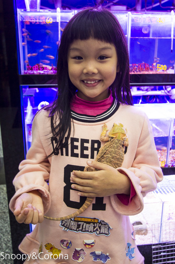 【新北市美食】林口水族主題餐廳｜ST 銀河系俱樂部｜水族寵物、下午茶～鯊魚、鸚鵡、爬蟲動物互動體驗，超另類親子餐廳