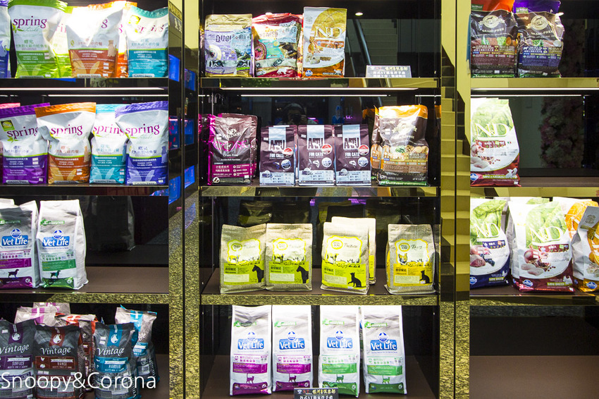 【新北市美食】林口水族主題餐廳｜ST 銀河系俱樂部｜水族寵物、下午茶～鯊魚、鸚鵡、爬蟲動物互動體驗，超另類親子餐廳