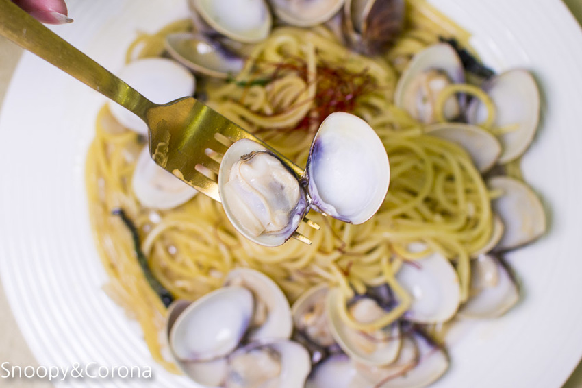 【新北市美食】林口水族主題餐廳｜ST 銀河系俱樂部｜水族寵物、下午茶～鯊魚、鸚鵡、爬蟲動物互動體驗，超另類親子餐廳