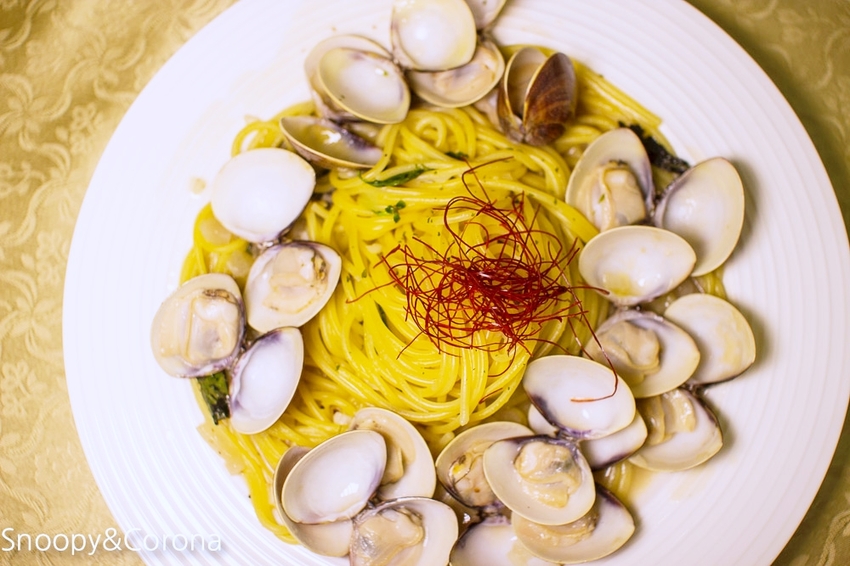 【新北市美食】林口水族主題餐廳｜ST 銀河系俱樂部｜水族寵物、下午茶～鯊魚、鸚鵡、爬蟲動物互動體驗，超另類親子餐廳