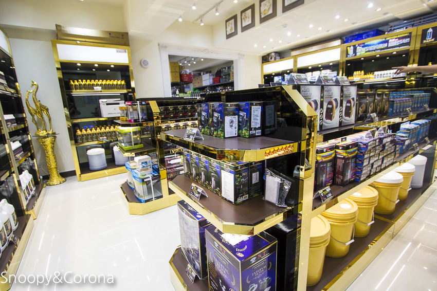 【新北市美食】林口水族主題餐廳｜ST 銀河系俱樂部｜水族寵物、下午茶～鯊魚、鸚鵡、爬蟲動物互動體驗，超另類親子餐廳