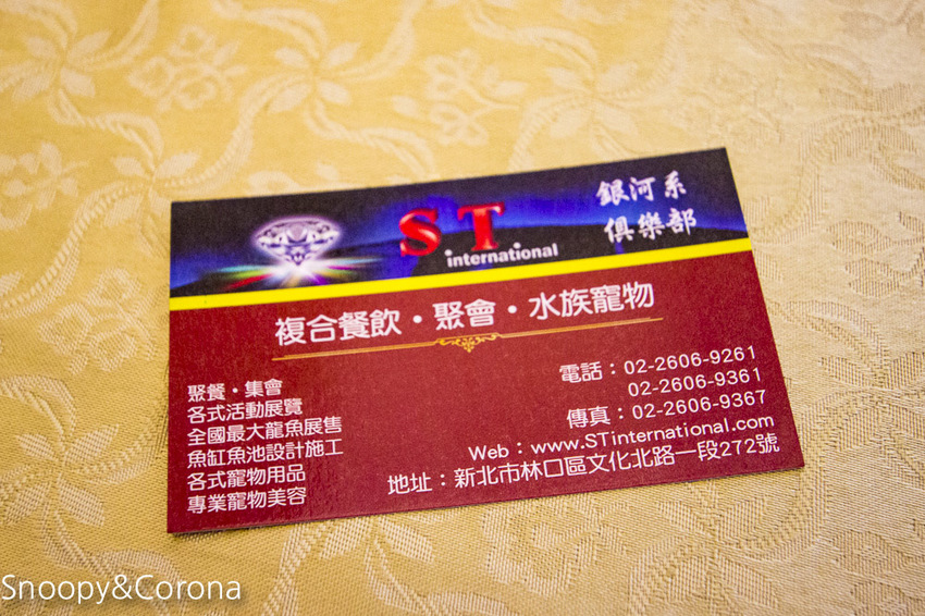 【新北市美食】林口水族主題餐廳｜ST 銀河系俱樂部｜水族寵物、下午茶～鯊魚、鸚鵡、爬蟲動物互動體驗，超另類親子餐廳