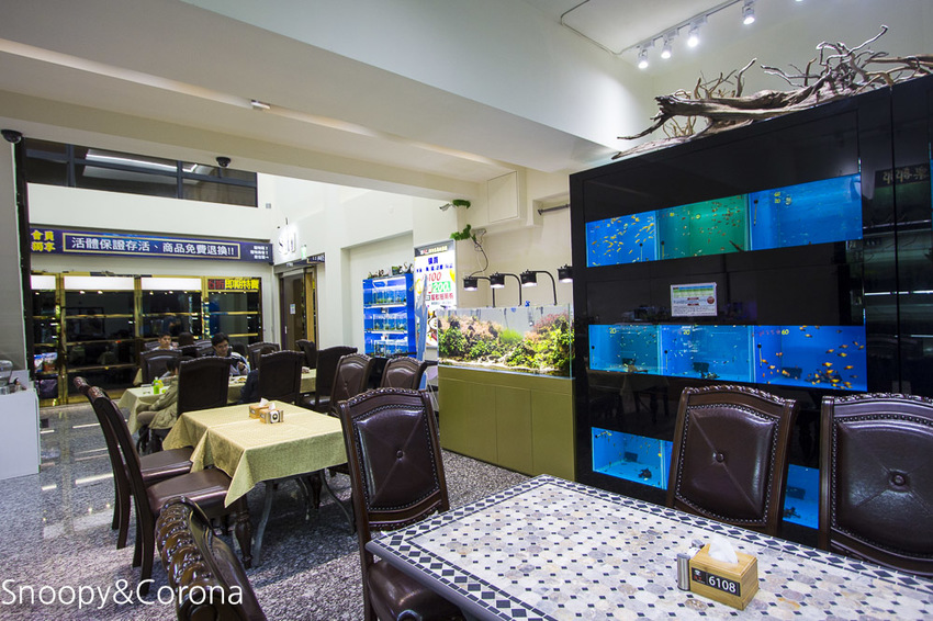 【新北市美食】林口水族主題餐廳｜ST 銀河系俱樂部｜水族寵物、下午茶～鯊魚、鸚鵡、爬蟲動物互動體驗，超另類親子餐廳