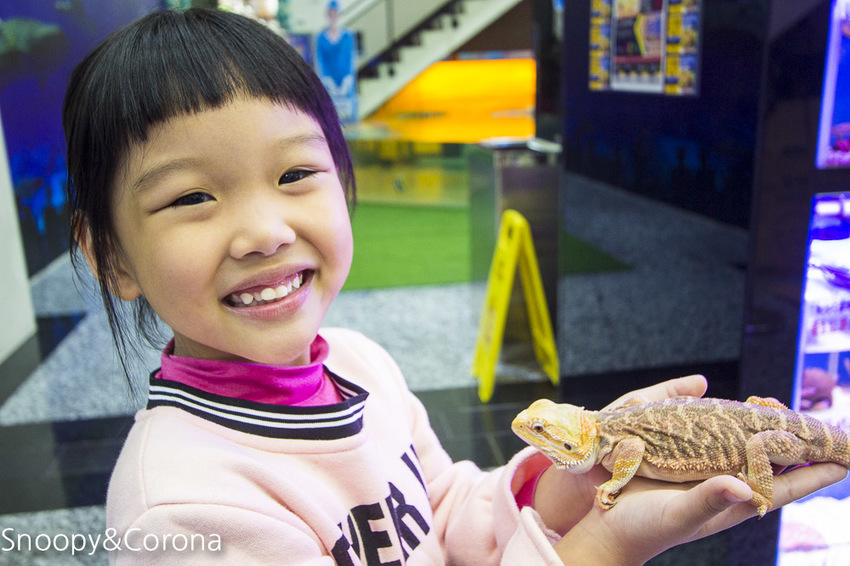 【新北市美食】林口水族主題餐廳｜ST 銀河系俱樂部｜水族寵物、下午茶～鯊魚、鸚鵡、爬蟲動物互動體驗，超另類親子餐廳