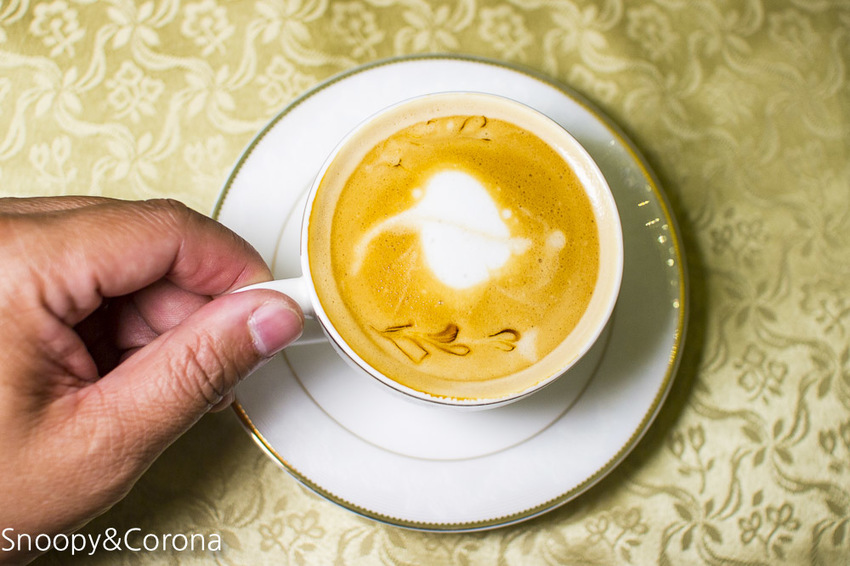 【新北市美食】林口水族主題餐廳｜ST 銀河系俱樂部｜水族寵物、下午茶～鯊魚、鸚鵡、爬蟲動物互動體驗，超另類親子餐廳