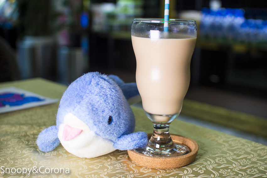 【新北市美食】林口水族主題餐廳｜ST 銀河系俱樂部｜水族寵物、下午茶～鯊魚、鸚鵡、爬蟲動物互動體驗，超另類親子餐廳