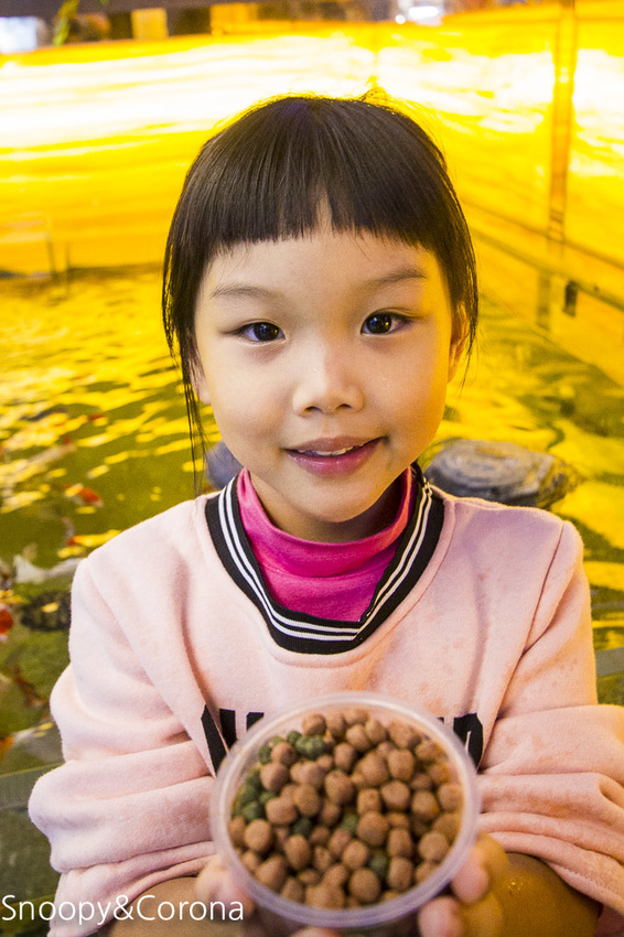 【新北市美食】林口水族主題餐廳｜ST 銀河系俱樂部｜水族寵物、下午茶～鯊魚、鸚鵡、爬蟲動物互動體驗，超另類親子餐廳