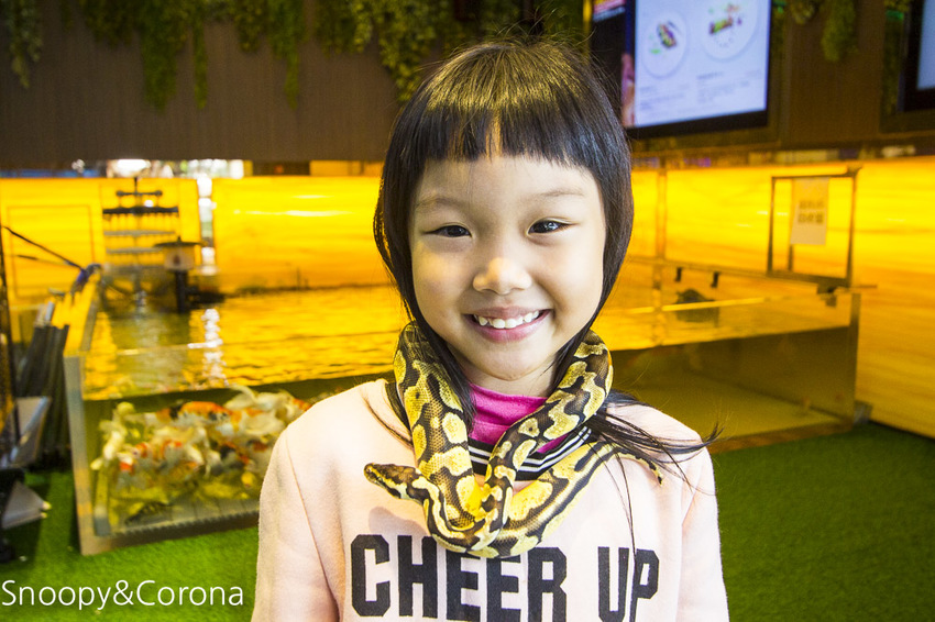 【新北市美食】林口水族主題餐廳｜ST 銀河系俱樂部｜水族寵物、下午茶～鯊魚、鸚鵡、爬蟲動物互動體驗，超另類親子餐廳