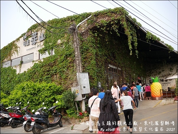 旺萊山鳳梨-05.jpg 旺萊山鳳梨-05.jpg