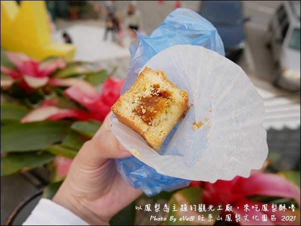 旺萊山鳳梨-19.jpg 旺萊山鳳梨-19.jpg