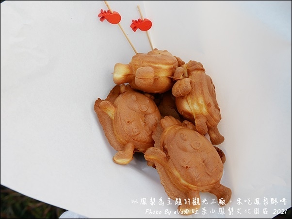 旺萊山鳳梨-29.jpg 旺萊山鳳梨-29.jpg