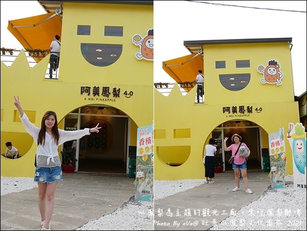 旺萊山鳳梨-22.jpg 旺萊山鳳梨-22.jpg