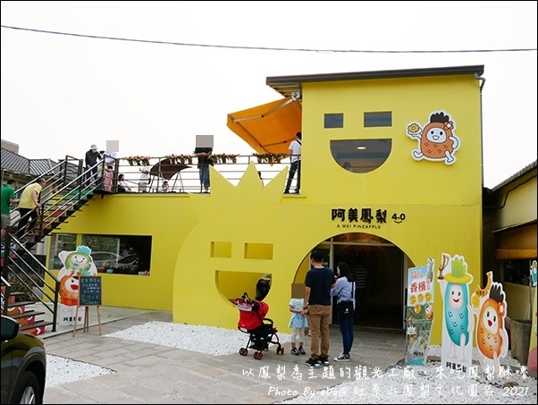 旺萊山鳳梨-21.jpg 旺萊山鳳梨-21.jpg