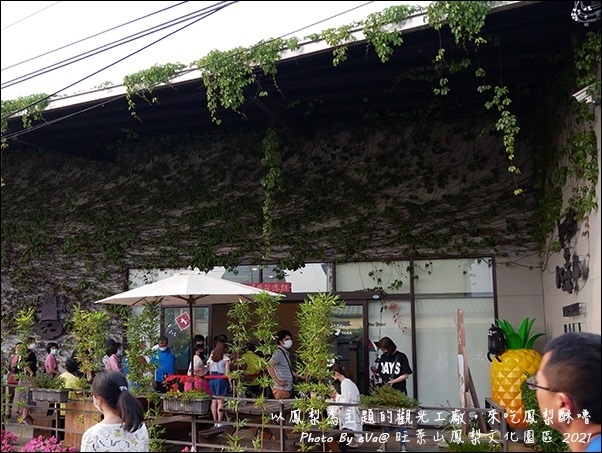 旺萊山鳳梨-15.jpg 旺萊山鳳梨-15.jpg