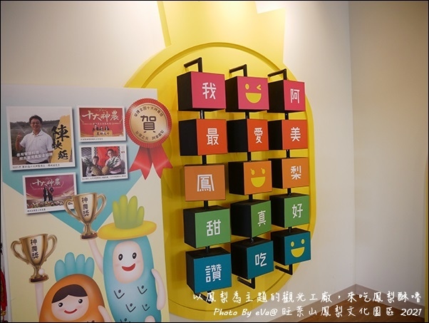 旺萊山鳳梨-24.jpg 旺萊山鳳梨-24.jpg