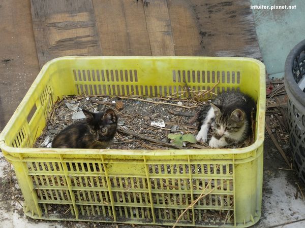 王爺巷6.JPG 王爺巷6.JPG