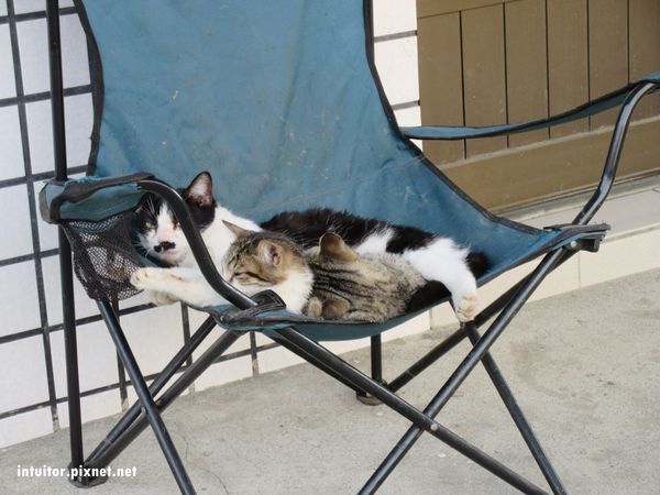 王爺巷8.JPG 王爺巷8.JPG