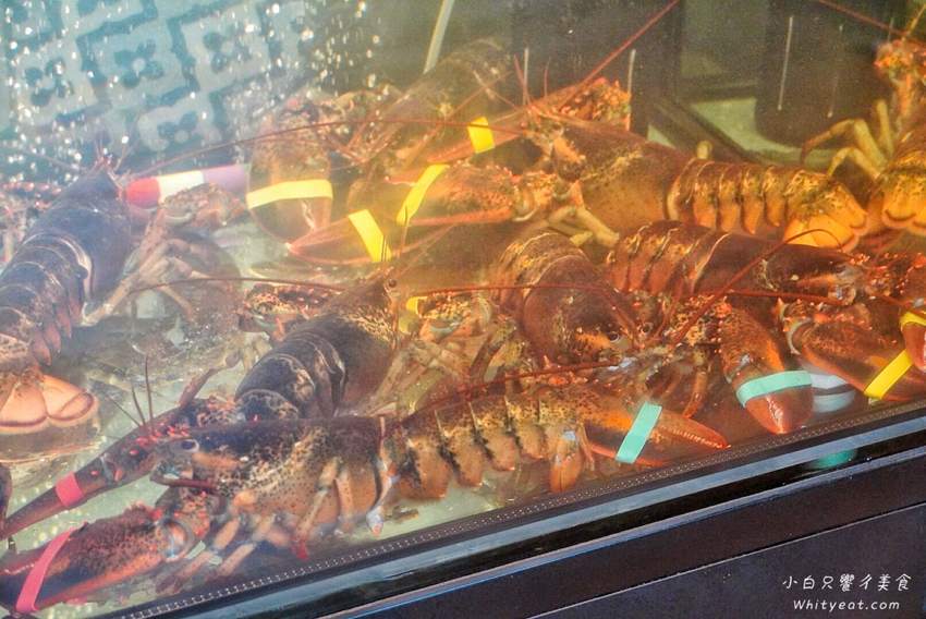 高雄火鍋【舞古賀鍋物專門店 -天祥店】痛風蝦爆海陸套餐好浮誇！菜盤還能換肉盤好佛心 高雄美食l高雄聚餐 | 小白只饗ㄔ美食