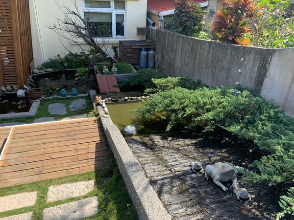 海元素_191126_0003 海元素_191126_0003