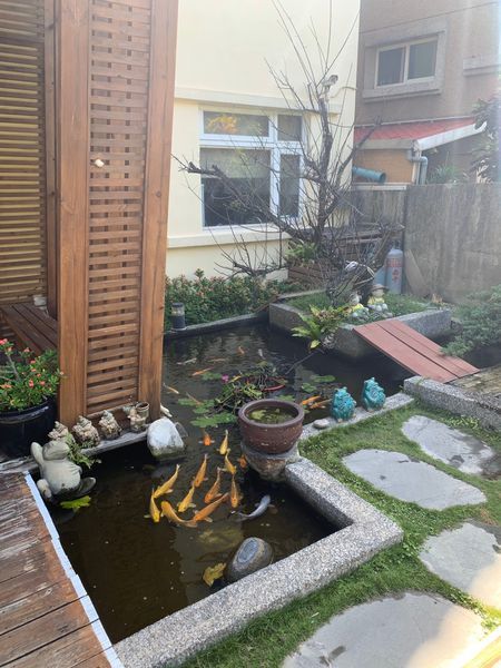 海元素_191126_0006 海元素_191126_0006