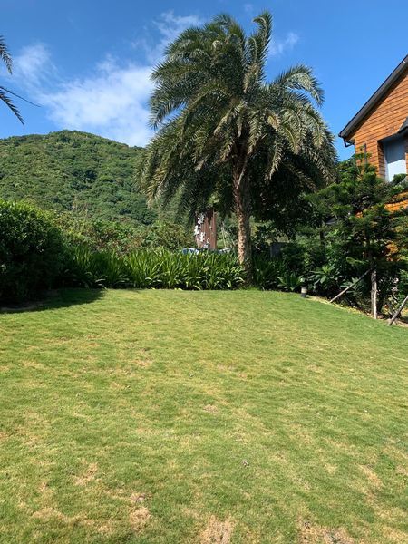 海元素_191126_0004 海元素_191126_0004