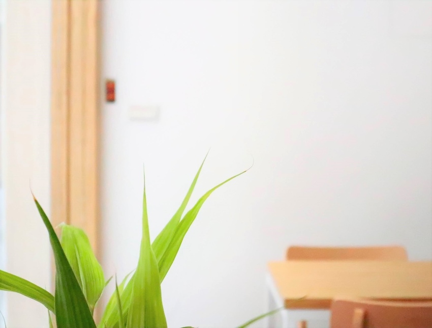 20201004001103_IMG_3291.jpg 20201004001103_IMG_3291.jpg