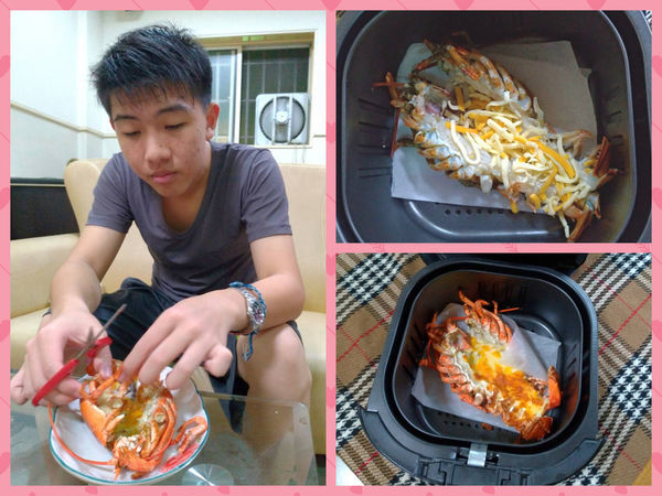 媽媽最愛的廚房家電推薦~大家源氣炸鍋4L,輕鬆做出氣炸無油料理,美食可以很輕鬆!