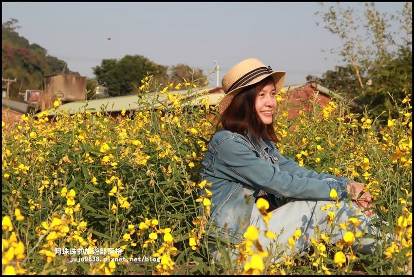 太陽麻花海8.JPG