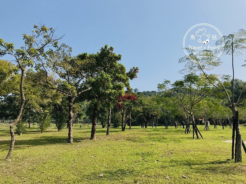 山上花園水道博物館|古蹟建築、影音互動、特色沙坑、寵物友善、189階淨水步道,賞花踏青親子同遊新地標! @魚兒 x 牽手明太子的「視」界旅行