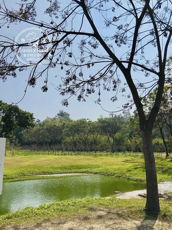 山上花園水道博物館|古蹟建築、影音互動、特色沙坑、寵物友善、189階淨水步道,賞花踏青親子同遊新地標! @魚兒 x 牽手明太子的「視」界旅行