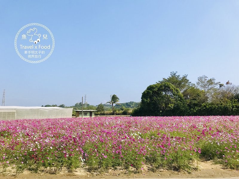 山上花園水道博物館|古蹟建築、影音互動、特色沙坑、寵物友善、189階淨水步道,賞花踏青親子同遊新地標! @魚兒 x 牽手明太子的「視」界旅行