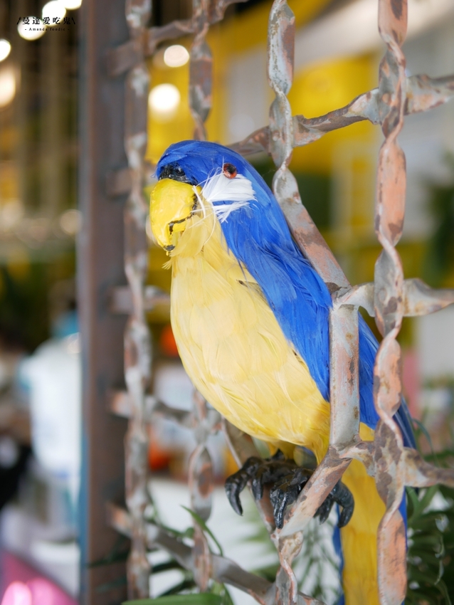 美翻天！女孩們最愛的質感森林系餐廳是它『JAI 宅』兼具視覺和味覺的澎湃饗宴，爆炸蛤蠣麵點起來！新竹美食｜巨城美食｜新竹義大利麵 - 曼達愛吃鬼