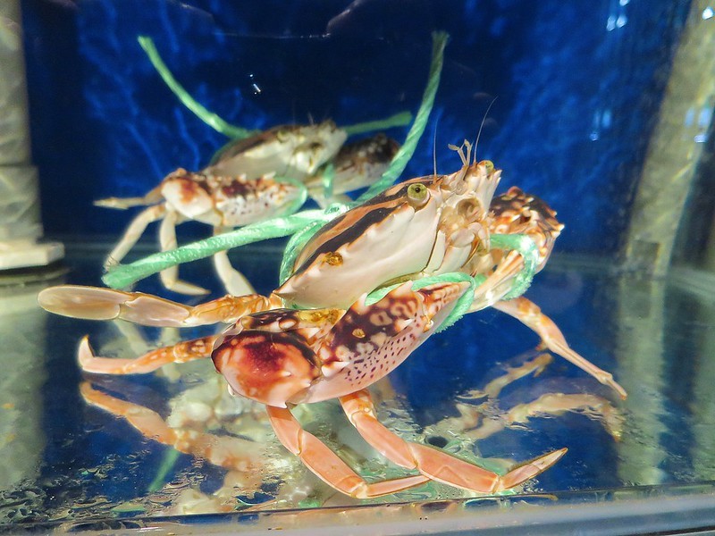 2020-09-16-14-02-24-136