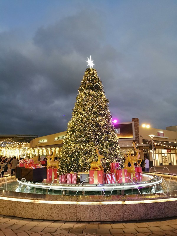 IMG_20201123_171913-1