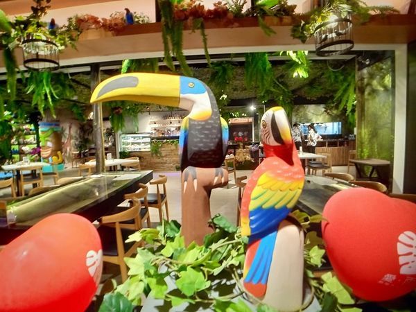 78365562_533763284141767_1100342098357387264_n