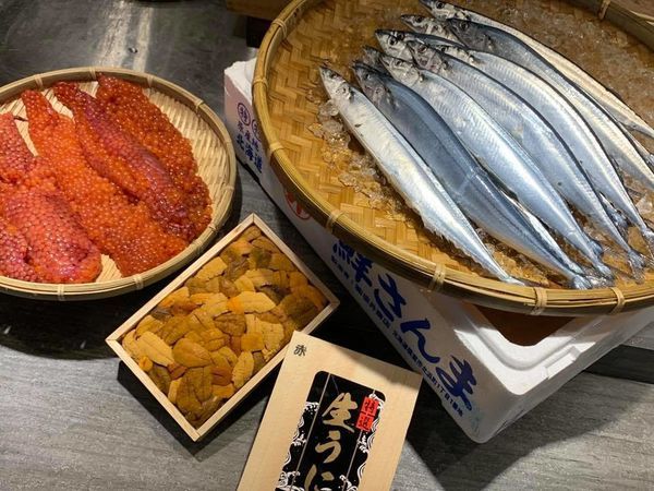 70417693_544304719646150_2821870736983982080_n 70417693_544304719646150_2821870736983982080_n