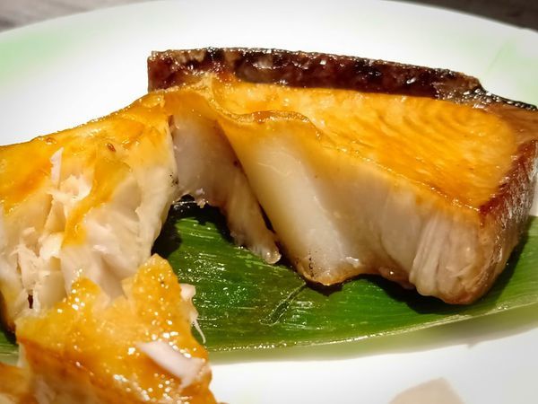 79025958_493862894813903_4981052849401102336_n 79025958_493862894813903_4981052849401102336_n