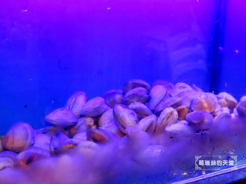 Umi火鍋-松山火鍋推薦-帝王蟹祭 (53).jpg