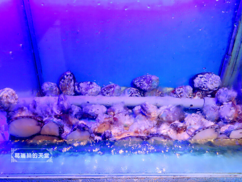 Umi火鍋-松山火鍋推薦-帝王蟹祭 (6).jpg