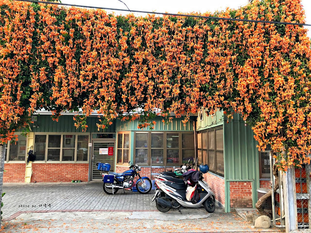 【南投 中寮】炮哥薑母鴨/羊肉爐🍲老饕才知道的隱密薑母鴨,在地人推薦,湯頭鮮甜,吃過就回不去了,宵夜場也沒問題,心中第一名的薑母鴨👍