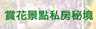 台中好吃滷肉飯,台中平價滷肉飯,台中特色美食,台中科博館美食,台中西區美食,魯十二滷肉飯·燉湯,魯十二滷肉飯·燉湯-台中健行旗艦店 @強生與小吠的Hyper人蔘~
