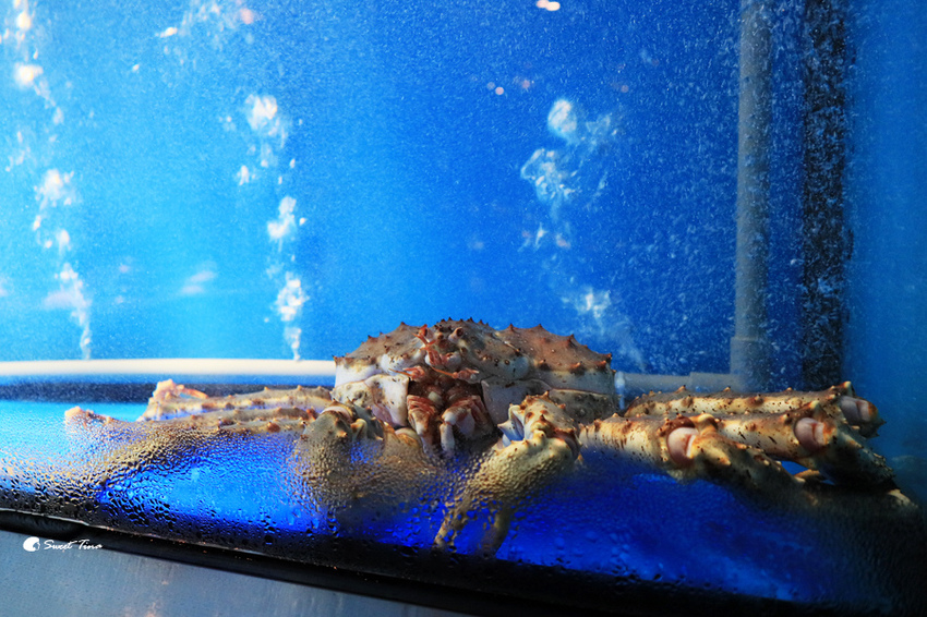 銅花精緻涮涮鍋