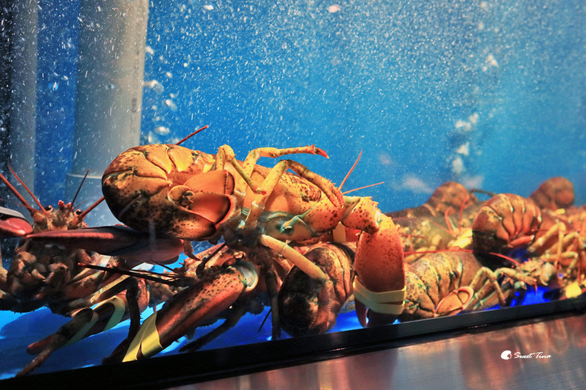 銅花精緻涮涮鍋