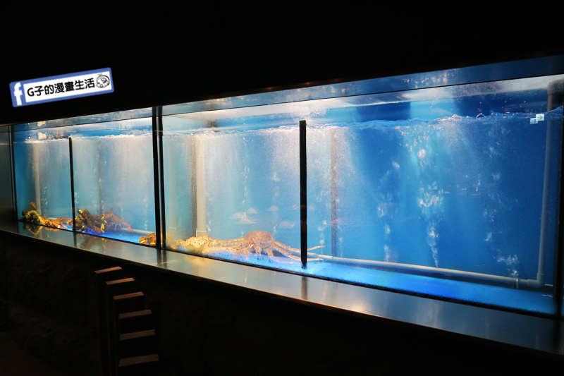 銅花精緻涮涮鍋.蘆洲美食.台北火鍋.徐匯中學站