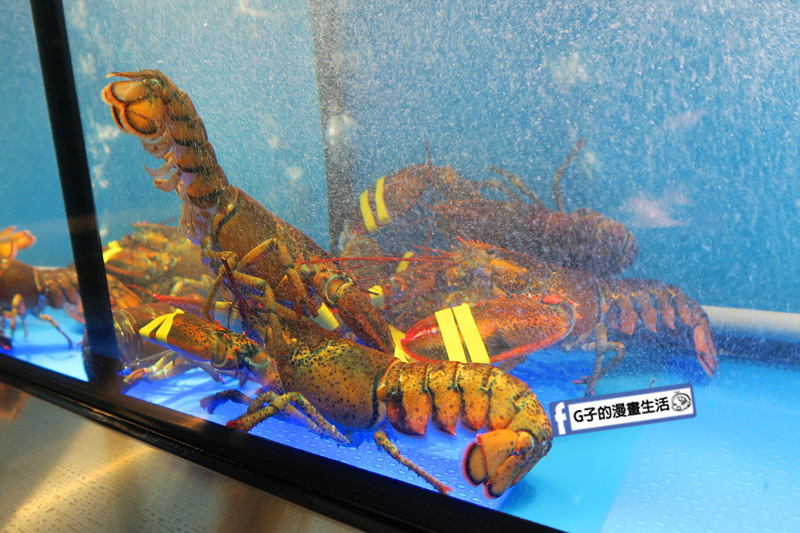 銅花精緻涮涮鍋.蘆洲美食.台北火鍋.徐匯中學站