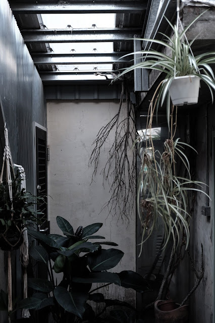 [春，屏東] 聞秋香而至，為伯虎停留 - 伯虎在二樓．恆春But Who