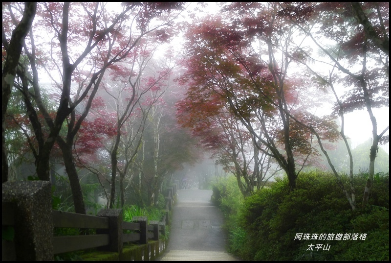 太平山45.JPG
