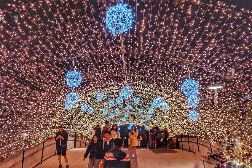 79368765_3237987442909243_7826241011079708672_o