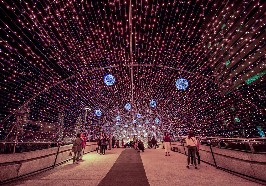 79018661_2720549127966709_4109840964158226432_o